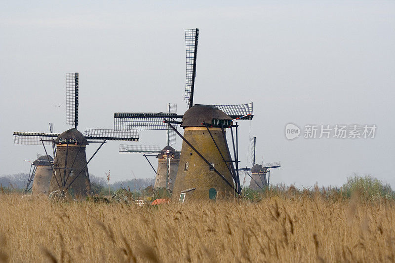 Kinderdijk 3号的风车